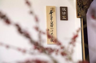 一日僅售五盒！這家空間的高品質茶果子，顏值高到讓人舍不得入口